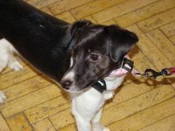 Resize of DSC06204.JPG